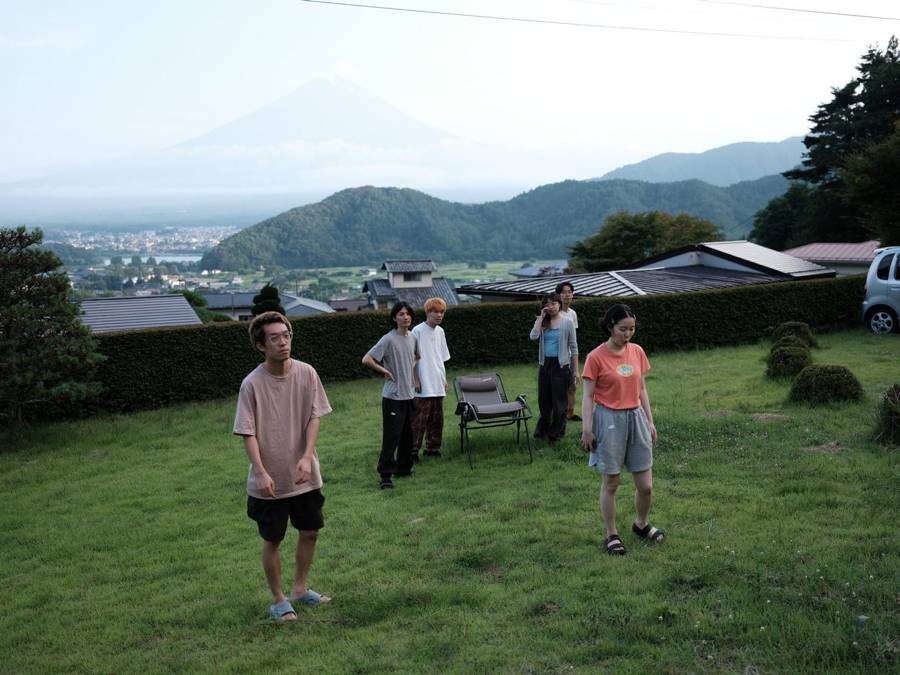 On the lawn in summer